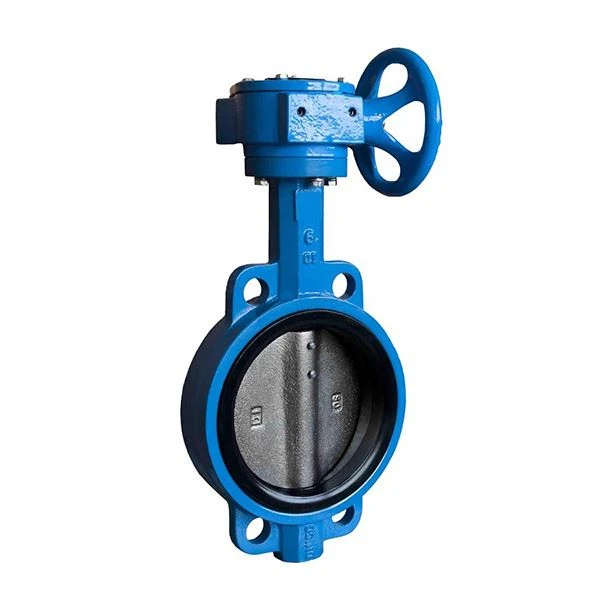 Ductile Cast Iron Butterfly Valve 2